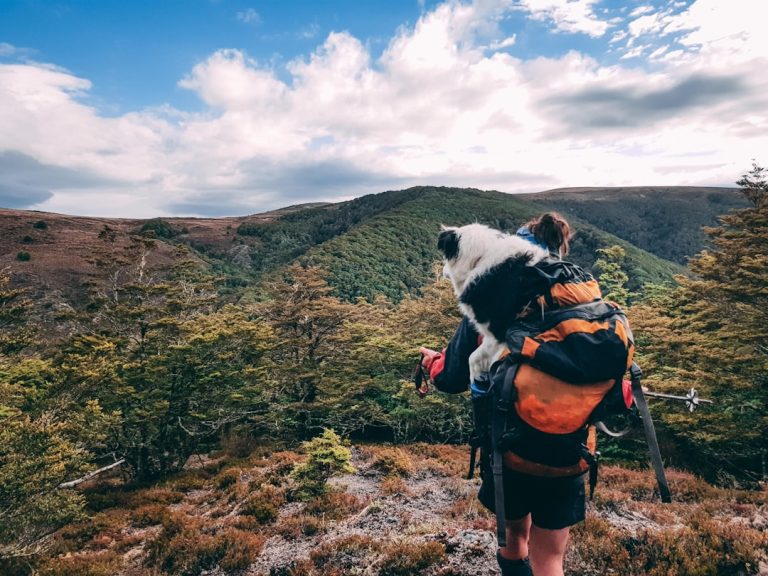 Eco-Friendly Outdoor Travel: Embracing Nature Responsibly
