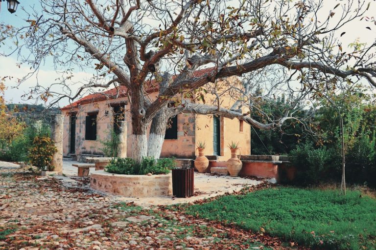 The Art of Slow Travel: Embracing Nature’s Pace